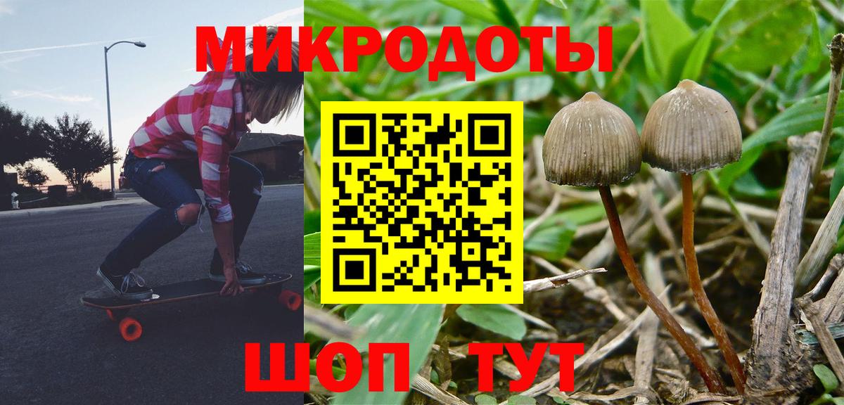 Волоколамск  Псилоцибиновые грибы MAGIC MUSHROOMS  Вход с VPN 